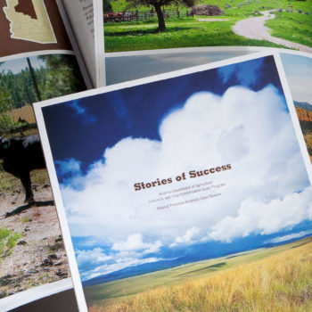 Stories of Success brochure for Arizona Department of Agriculture